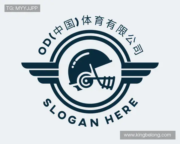 关于OD体育官网